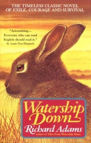 book-cover